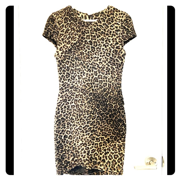 Cheetah Dress - Picture 1 of 5